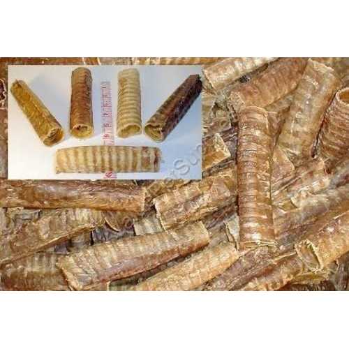 6 inch Beef Trachea N608043