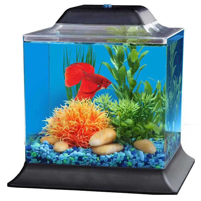 1.4 Gallon Betta Aquarium I696105