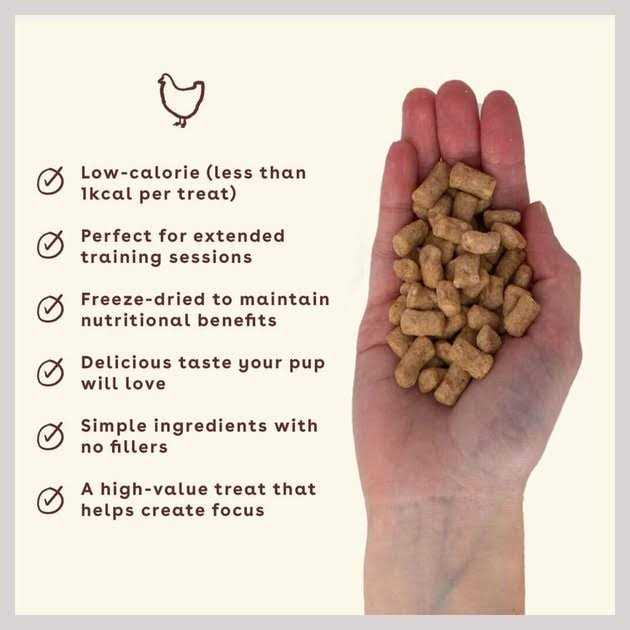 Chicken Freeze-Dried Dog Treats N30288