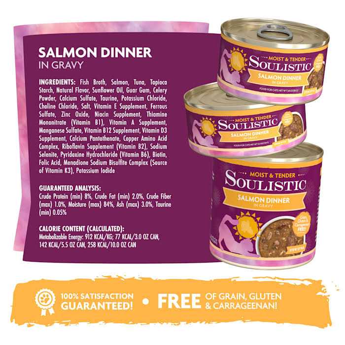 Wet Cat Food T5751