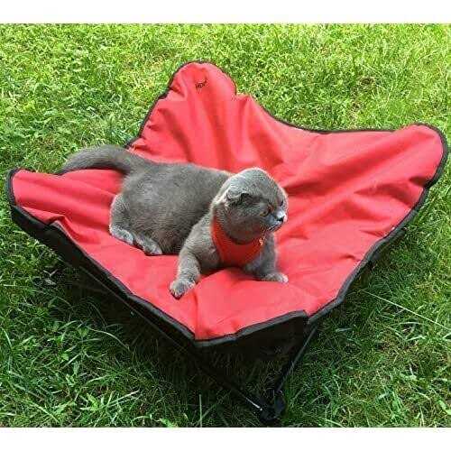 Elevated Padded Pet Bed C729581