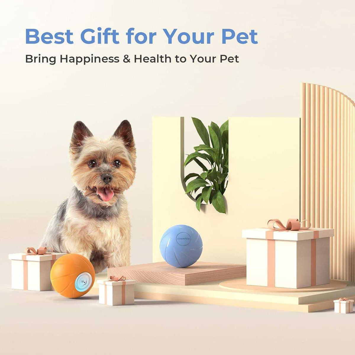 Pet Supplies H215253