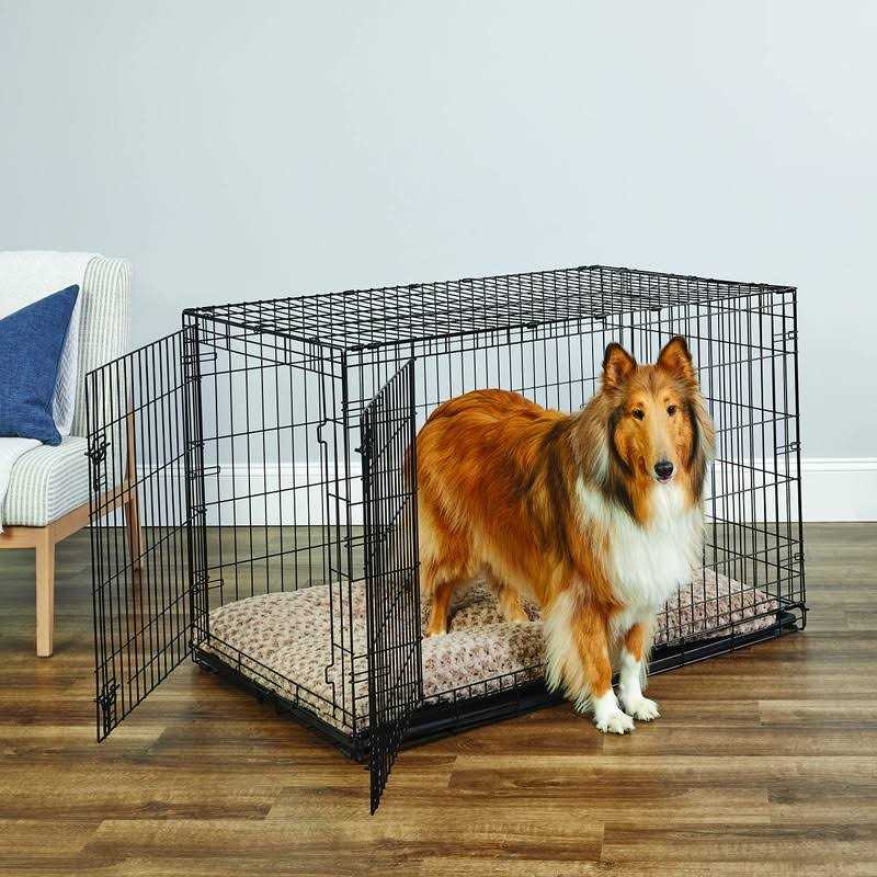 Single Door Dog Crate J679602