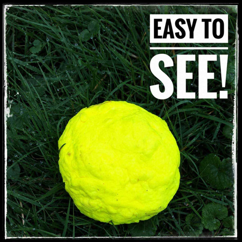 Dog Toy C404