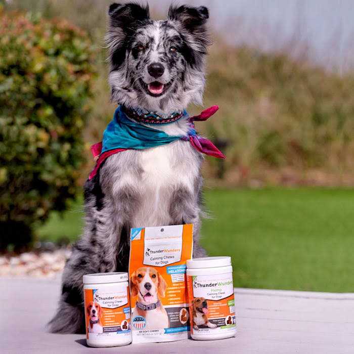 Hemp Calming Chews X14430