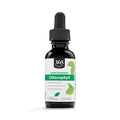 Liquid Chlorophyll 1 Fl Oz Q134081