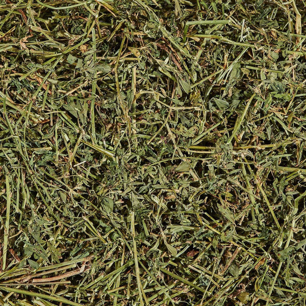 Alfalfa Mini Bale L433600