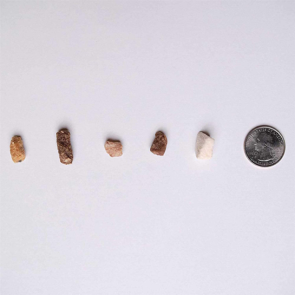 Chicken Freeze-Dried Dog Treats N30288
