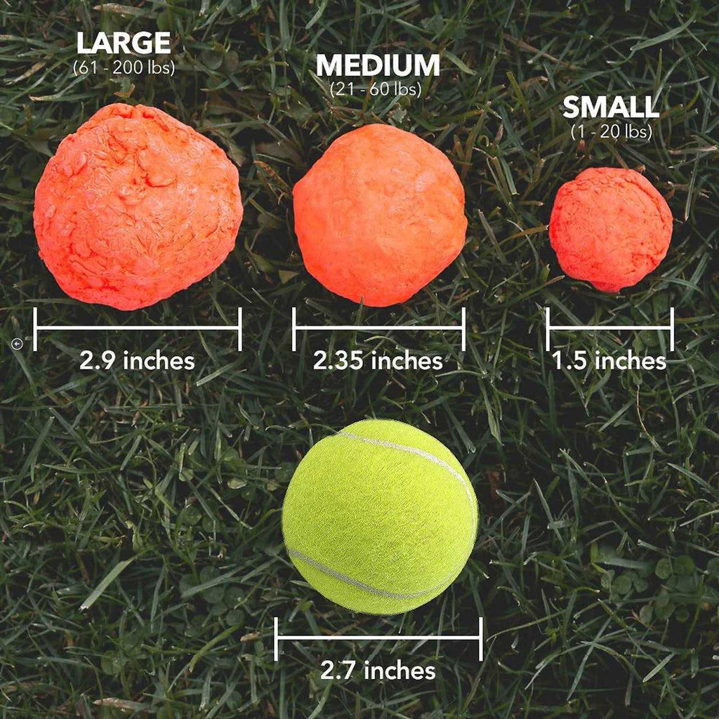 Dog Toy C404