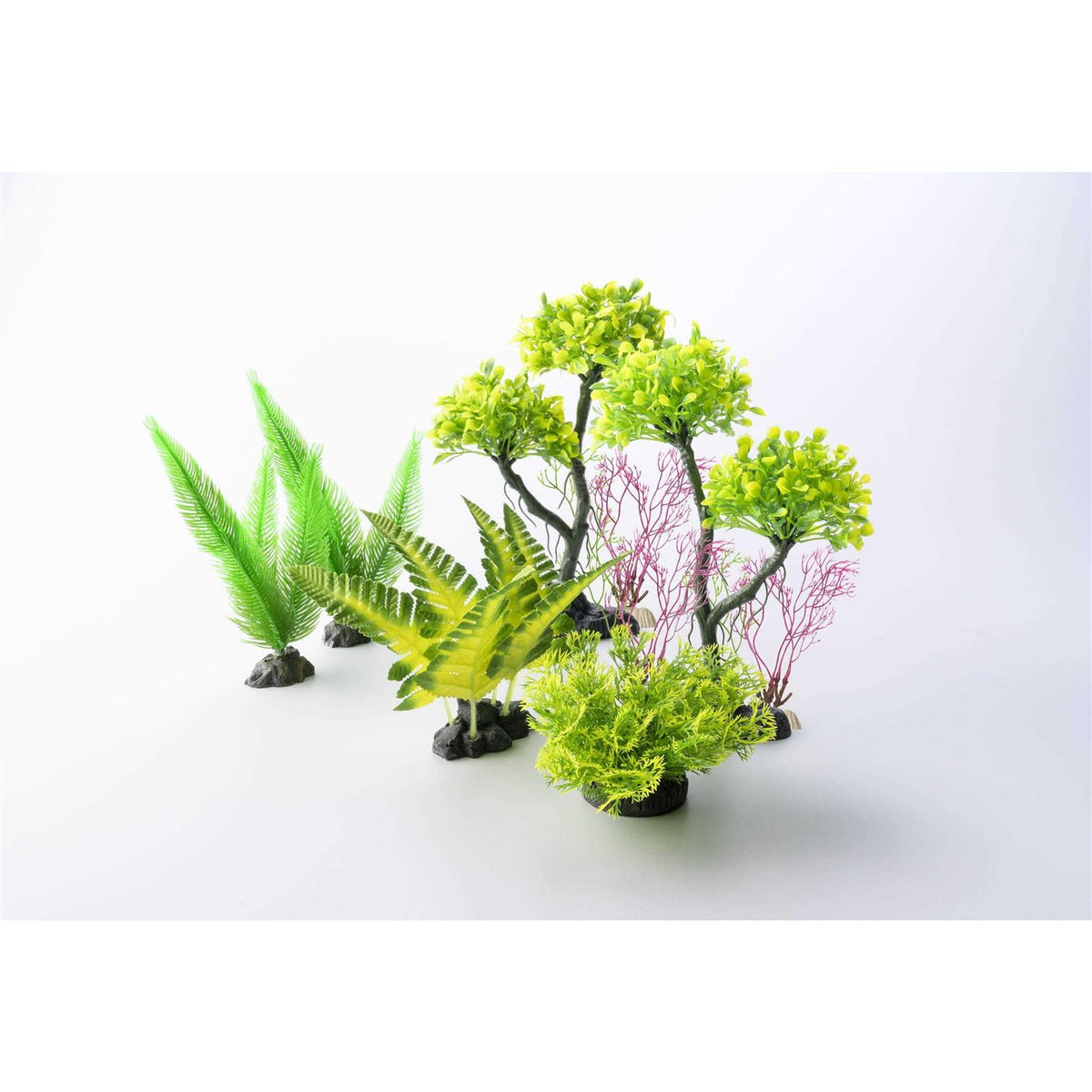 Aquarium Plant X826