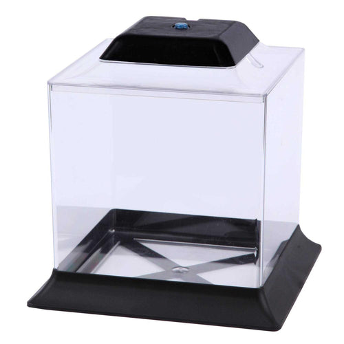 1.4 Gallon Betta Aquarium I696105