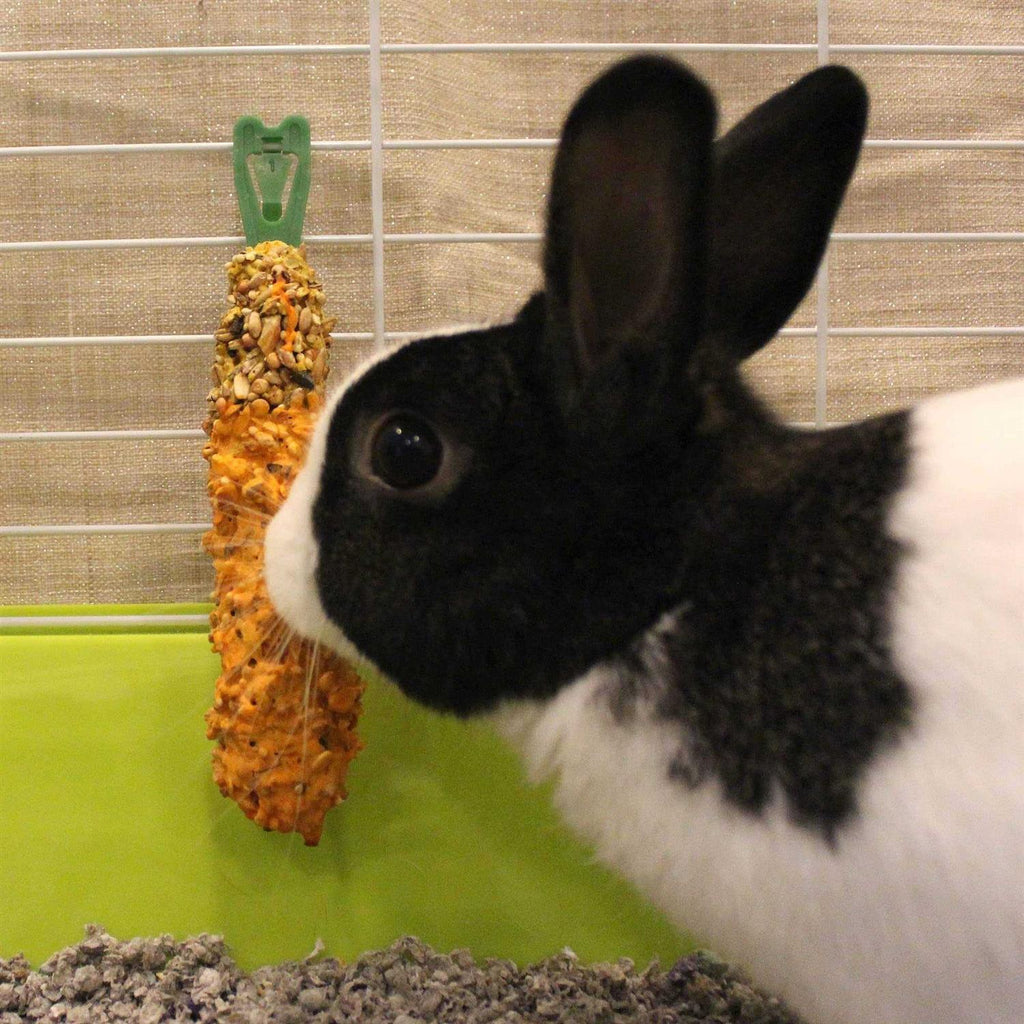 Guinea Pig Crunch Sticks R86904