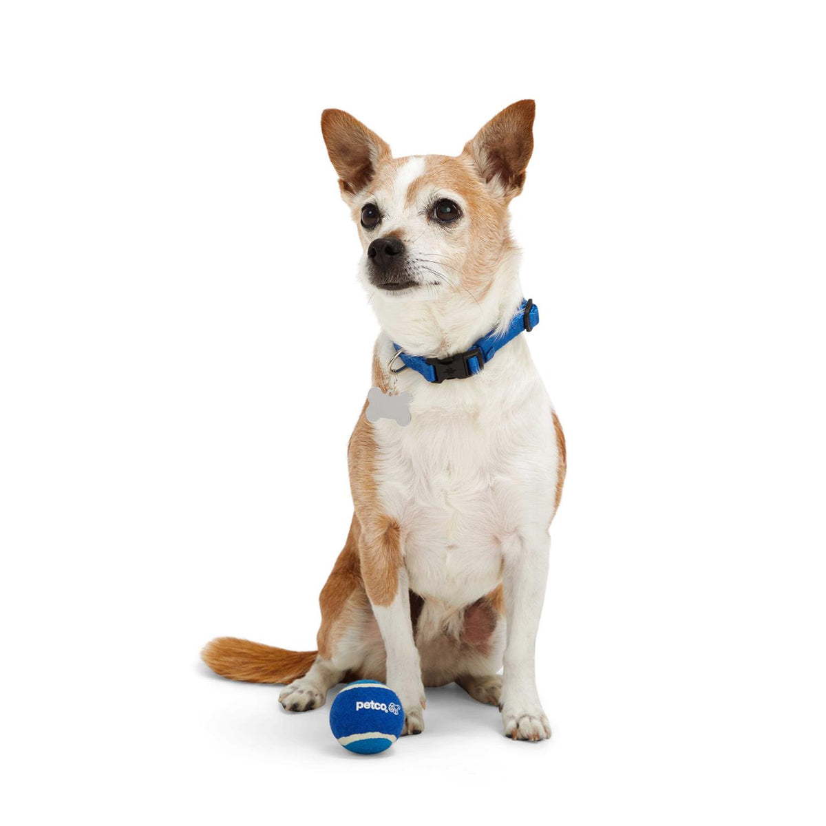 Tennis Ball Dog Toy M209340