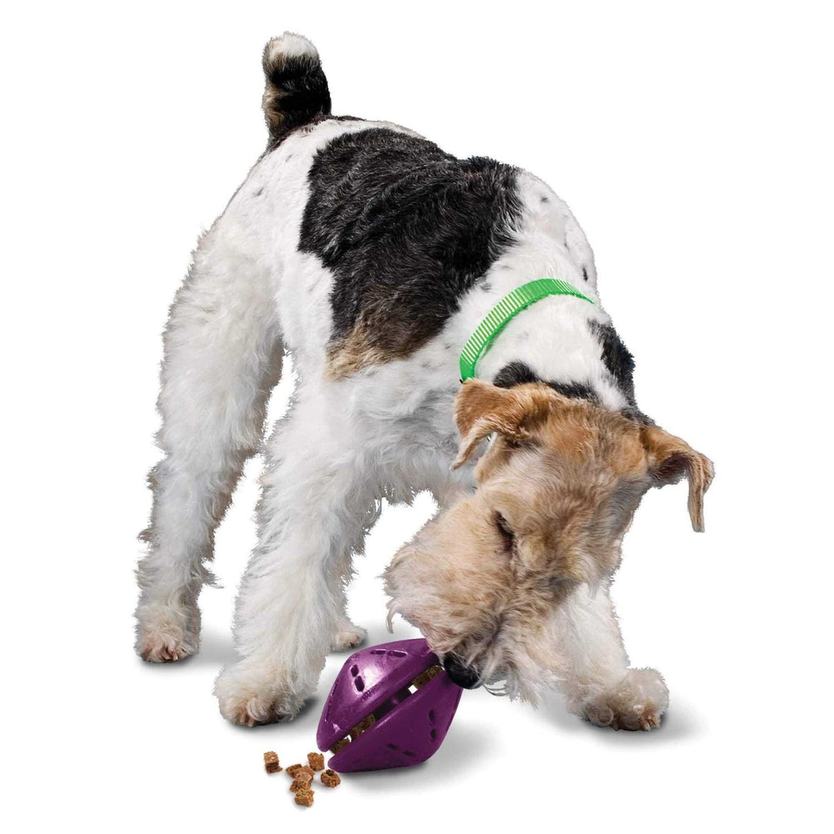 Dog Toy O116